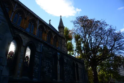 DSC_0454 (Large).JPG